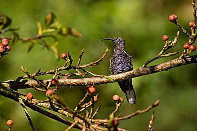 《方块方舟》秋季团圆活动上线，探索神秘新生物与秋季特别玩法